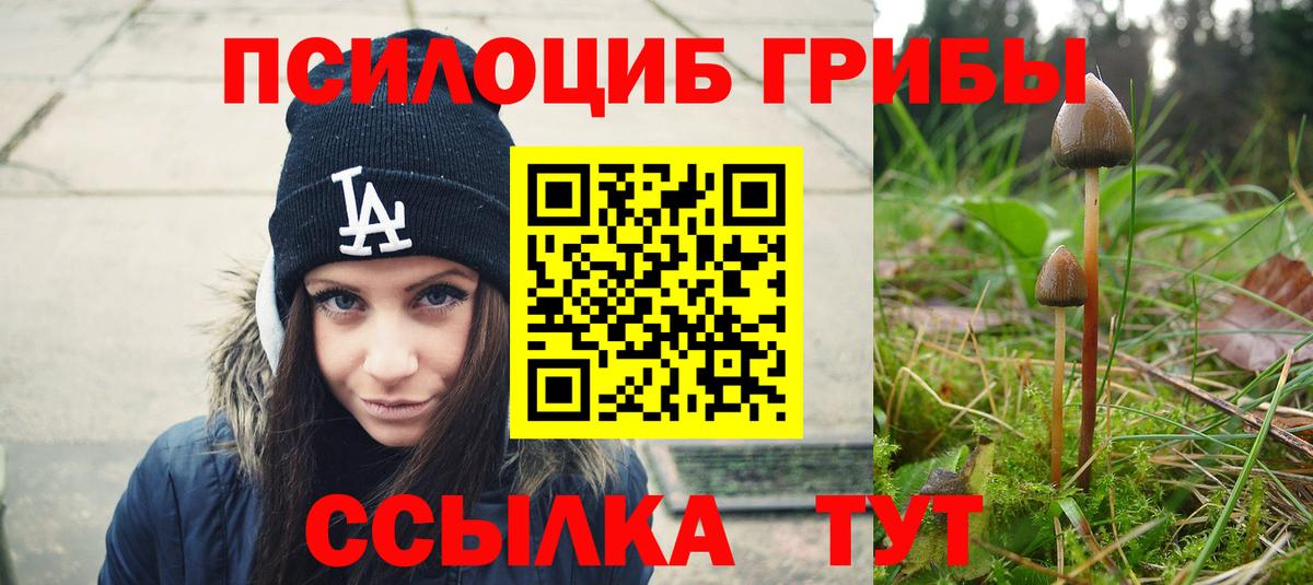 Псилоцибиновые грибы MAGIC MUSHROOMS Чебаркуль